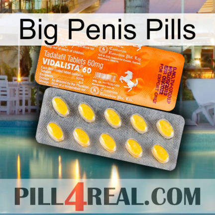 Big Penis Pills new05